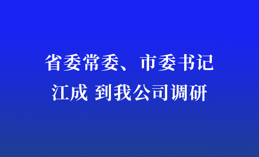 省委常委、市委书记江成到我公司调研